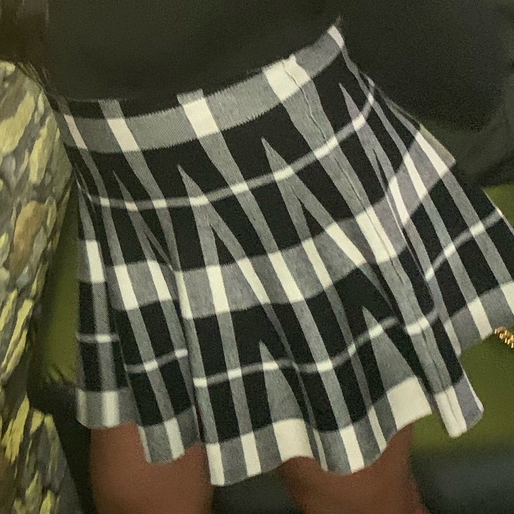 Pleaded Skirt